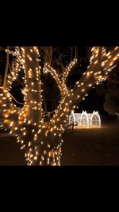 Príspevok #storyoflights