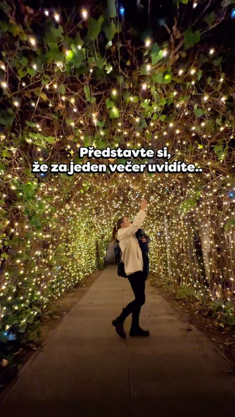 Příspěvek #storyoflights
