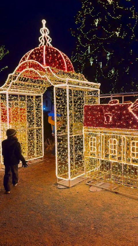 #storyoflights bejegyzés
